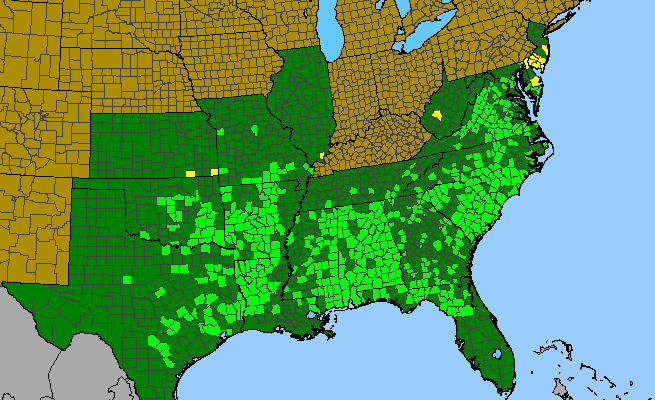 The range of Toxicodendron pubescens